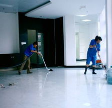 新居清潔全攻略 家政服務(wù)與實(shí)用技巧